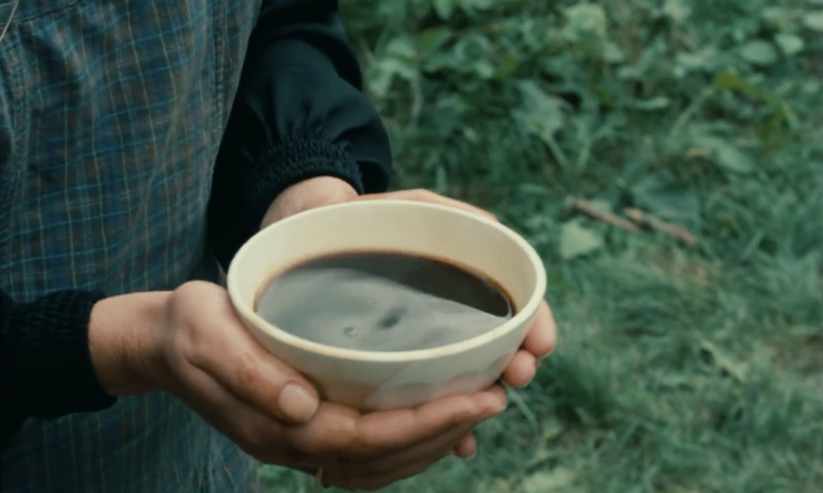 Description de l’image